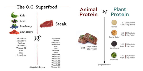Proteína animal vs. vegetal [ciencia vs. sentimientos] PARTE 1